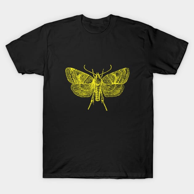 Moth - Yellow Moth T-Shirt by Kudostees